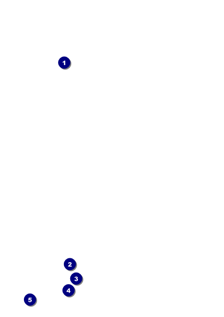 Mountainfilm General Postcard Front Field Markers